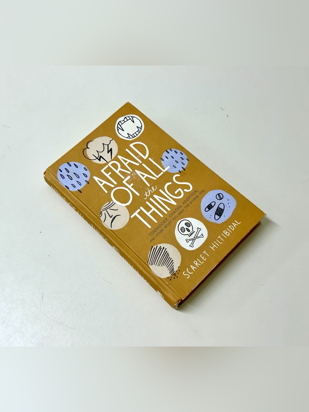 AFRAID OF ALL THE THINGS First Edition Hardcover Book by Scarlett Hiltibidal